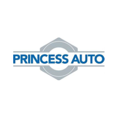 princess-logo
