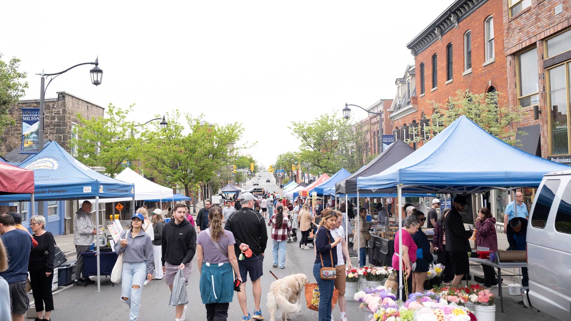 downtown-milton-6